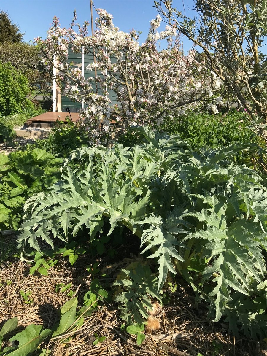 Een kijkje in de tuin