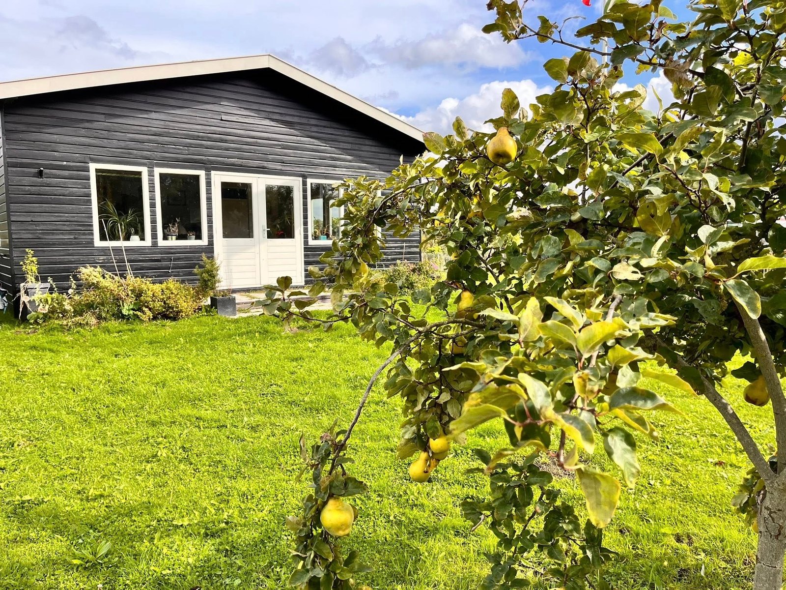 Het verenigingsgebouw met een perenboom in de tuin